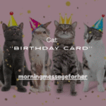 49+Cat Birthday Cards You’ll Love